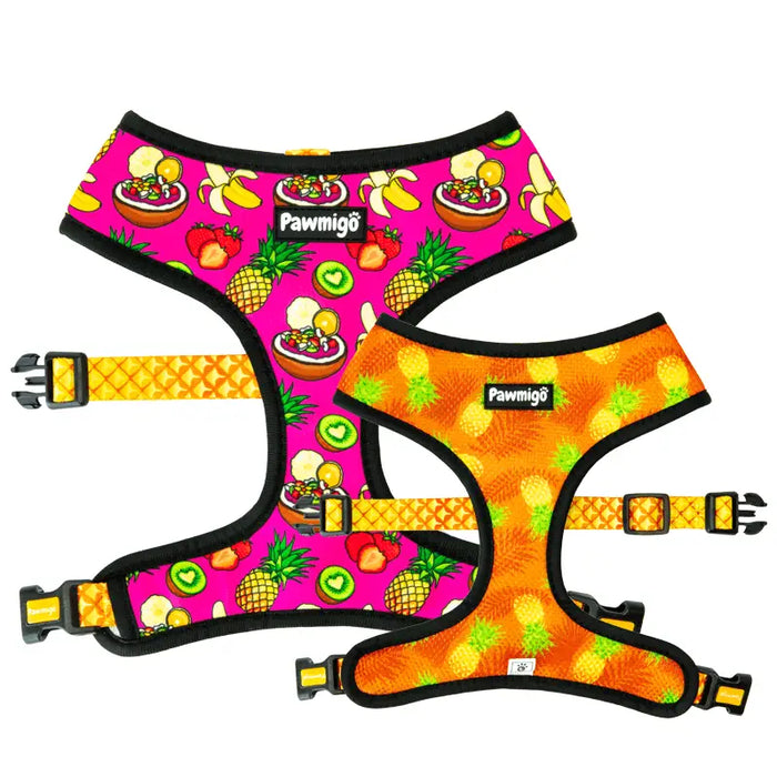 Snack Shack Reversible Harness by Pawmigo