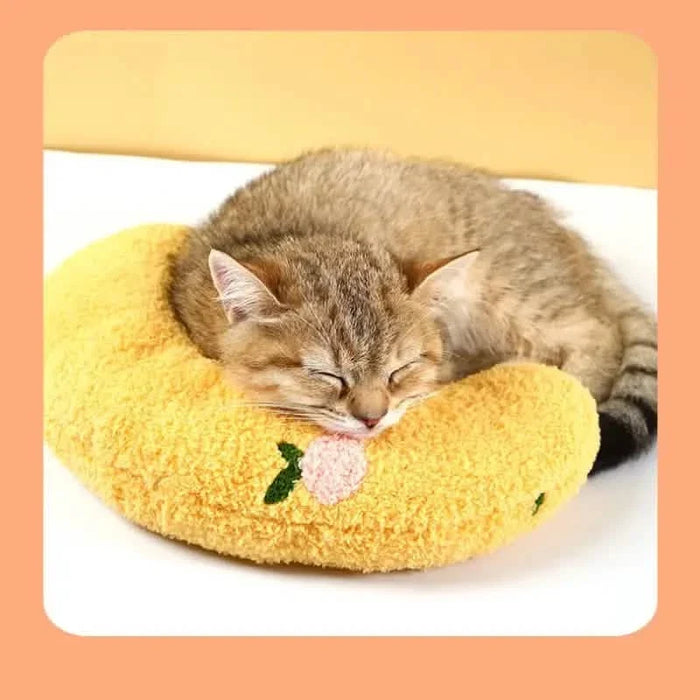 Soft Fluffy Pillows For Indoor Cats by DailySale