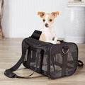 Soft-Sided Mesh Pet Travel Carrier by DailySale