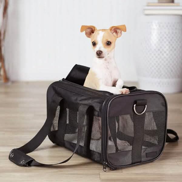 Soft-Sided Mesh Pet Travel Carrier by DailySale