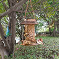 Solar Decorative Hanging Bird Feeder Lantern by DailySale