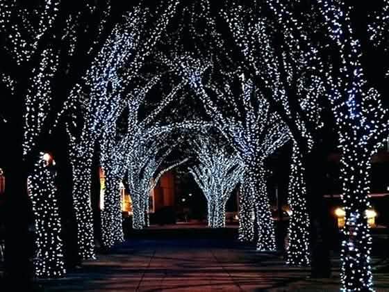 Solar-Powered 100 LED Fairy Light String - Assorted Colors by DailySale