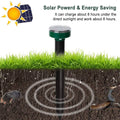 Solar Powered Mole Repeller by DailySale