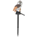 Solar Powered Owl Garden Light IP65 Waterproof by DailySale