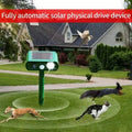 Solar Ultrasonic Animal Repeller with Motion Detector by DailySale