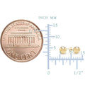 Solid 10K Gold Ball Studs by DailySale