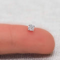 Solid 925 Sterling Silver Round Cut Crystal Small Studs by DailySale