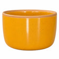 Solid Dish Soap Jar & Brush by Wild Bear Market
