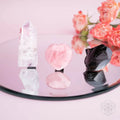 Spiritual GPS - Guardian Car Crystal Kit by Conscious Items