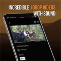 SPYPOINT Flex G-36 Cellular Trail Camera, 36MP Photos and 1080p Videos w/Sound (Refurbished) by DailySale