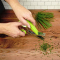 Stainless Steel 5 Blade Herb Scissors by DailySale