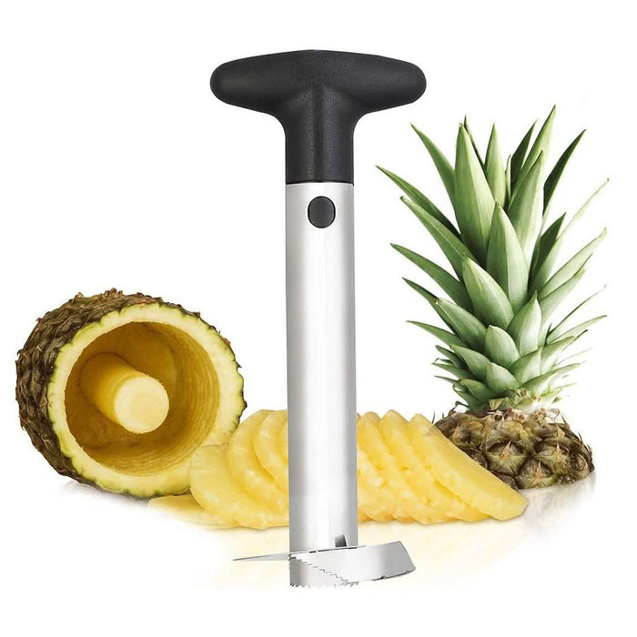 Stainless Steel Perfect Pineapple Corer by DailySale
