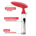 Stainless Steel Premium Apple And Fruit Corer Remover by DailySale