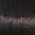 Star Quality - Wig by Raquel Welch