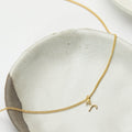 Starry Night Aries Zodiac Necklace by Dear Ava