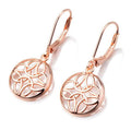 Sterling Silver Lever-Back Celtic Earrings by DailySale