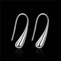 Sterling Silver Waterdrop Hook Earrings by DailySale