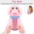 Stuffed Plush Pig Doll Pick-a-Boo Animated Toy by DailySale