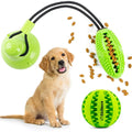 Suction Cup and Play IQ Toy Treat Ball by DailySale