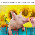 Sunflower Pigs Canvas Wall Art by Tailored Canvases