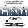 Support Harness Set Adjustable Chest Sling Strap for Elderly Disable Dog by DailySale