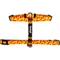 Taco Tuesday Free-Fit Harness by Pawmigo