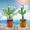 Talking Dancing Cactus by DailySale