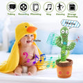 Talking Dancing Cactus by DailySale