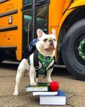 Teacher's Pet Reversible Harness by Pawmigo
