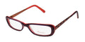 Thalia Abeja Eyeglasses by ModaFrames