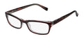 Thalia Alina Eyeglasses by ModaFrames