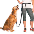 The Buddy System Adjustable Hands Free Dog Leash by DailySale