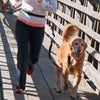 The Buddy System Adjustable Hands Free Dog Leash