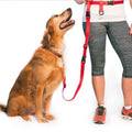 The Buddy System Adjustable Hands Free Dog Leash by DailySale