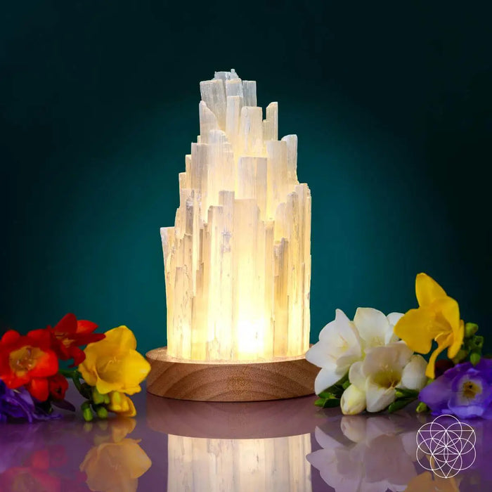 The Cleanse-All Selenite Lamp - 2 Pounds of Healing Power by Conscious Items