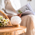 The Curative Lamp by Conscious Items