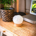 The Curative Lamp by Conscious Items