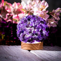 The Intuition Lamp by Conscious Items