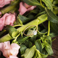 The Lunar Ring of Power by Conscious Items