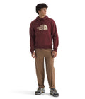 The North Face Men's Evolution Edge of Light Half Dome Hoodie by I-Max Fashions