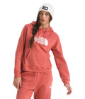 The North Face Womens Evolution Half Dome Hoodie by I-Max Fashions
