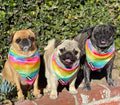 Tie-Dye For Cooling Bandana by Pawmigo