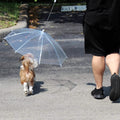 Transparent Outdoor Dog or Puppy Umbrella with Chain Leash by DailySale