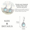 Tree of Life Design S925 Sterling Silver Dangle Earrings by DailySale