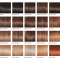TRESS - Wig by Raquel Welch