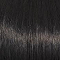 TRESS - Wig by Raquel Welch