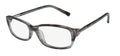 Trussardi 12504 Eyeglasses by ModaFrames