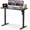 TTKK Electric Standing Desk
