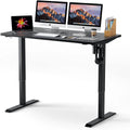 TTKK Electric Standing Desk by DailySale