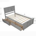 Twin Size Platform Bed with Two Drawers by DailySale
